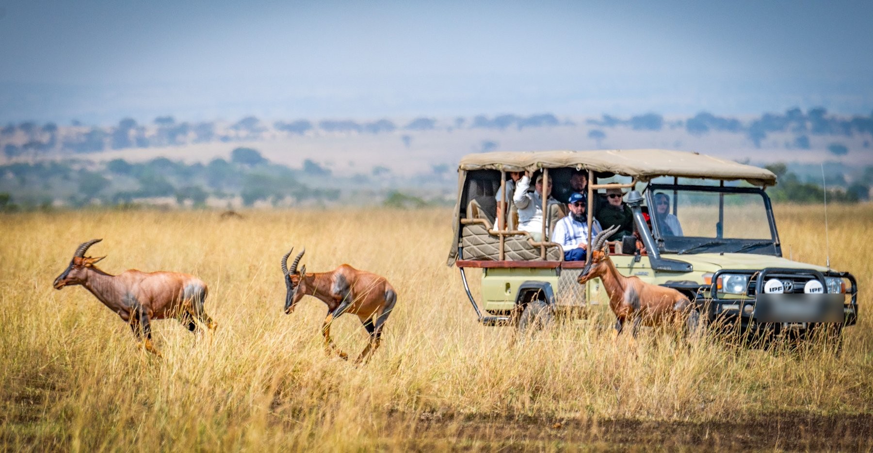 Safari guests watching topi antelope from a game-viewing vehicle